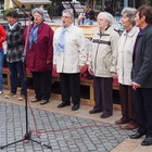 Szociális Hét 2016 - Interaktív délután Szombathely Fő terén