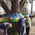 Felöltöztettük a fákat a Kámoni Arborétumban