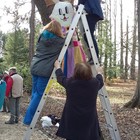 Felöltöztettük a fákat a Kámoni Arborétumban