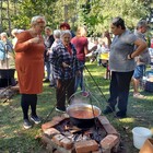 A verseny tárgya: pincepörkölt  