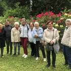 Séta az arborétumban