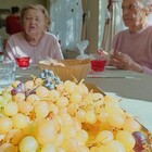 Szüreti mulatság a Barátság utcában