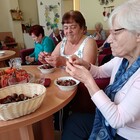 Szüreti mulatság a Barátság utcában