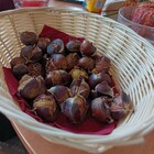 Szüreti mulatság a Barátság utcában