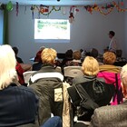 Tüzes-vizes Szombathely